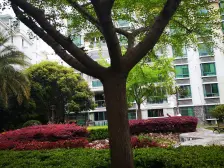 主卧朝南,小区中心位置,非底楼房,卫生间全明