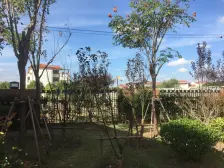 悦城华庭 1室1厅 南