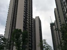 奥园1号 中楼层 南北对流4房 精装 满五年 采光通风好