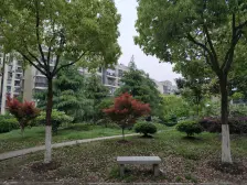 房东诚心出售 电梯房中高楼层 没有遮挡 通风效果好