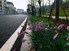 悦来 望江府御江湾四房267.8万