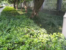 天星桥 和谐苑一房40万