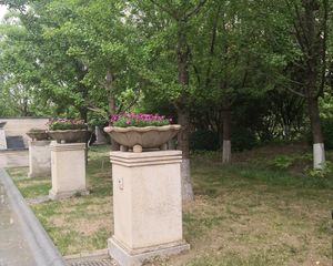 全南向,全天采光视野开阔无遮挡,采光充足