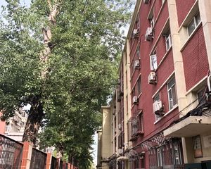中关村北一条南北三居满五唯一采光好无遮挡