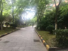 江信国际和谐花园 南北通透,采光好 周边匹套完善,,出行方便