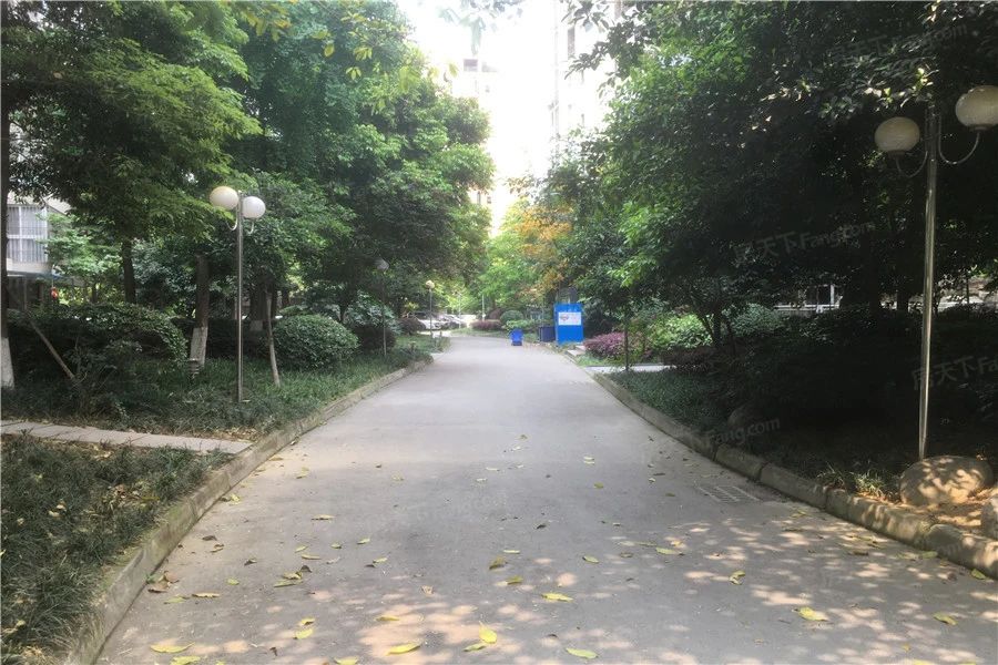 小区相关图
