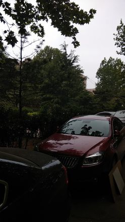 同仁园实景图