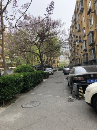 新街口西里二区实景图