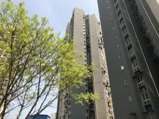 紫薇北苑 1室1厅 西南