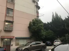 宝林路50弄 2室2厅 南 北