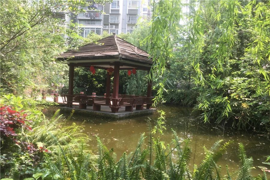 小区相关图