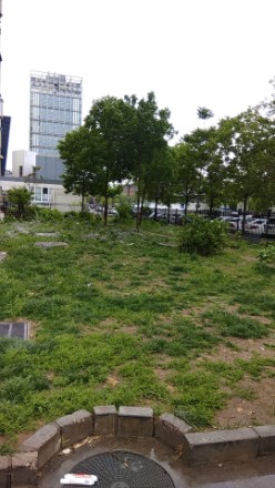 宋家庄家园实景图