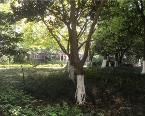 世家东部时空3室2厅西北
