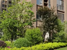 幸福里 南北通透,采光好 视野好,诚心出售