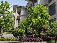 伟梦东方院 3室2厅 南