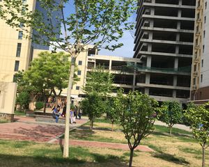 金沃向阳城 2室2厅 南