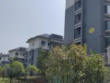 伟梦清水湾东方院玉龙苑 南北通透,采光好 视野好,诚心出售