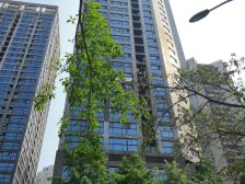 一号桥电梯单配,业主诚心出售。