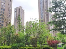 金色兰庭三室带车位储藏室业主诚心出售