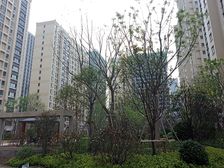 天华新天地三室两厅两卫带车位房东诚意出售