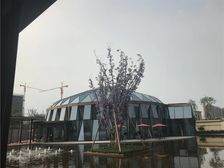 优筑天府城3室1厅北
