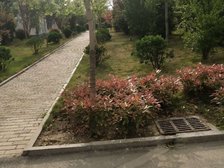 冠鲁明德花园南北通透双阳台三室两卫全明户型