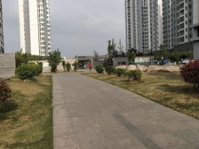 冠鲁明德花园 5室2厅 南 北