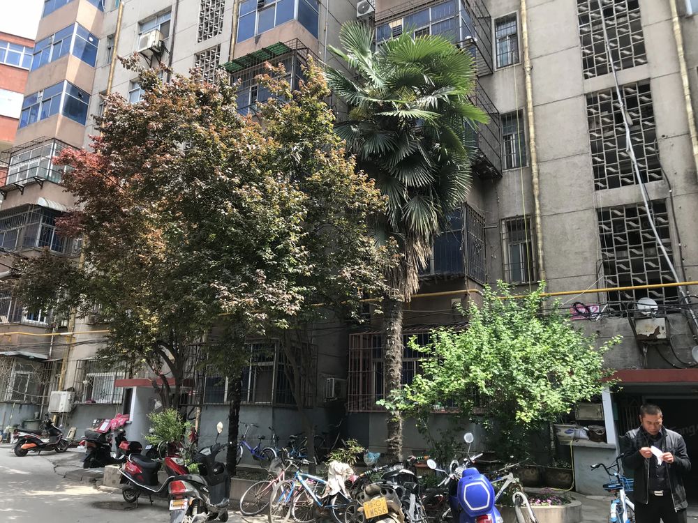 小区相关图