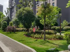 伟梦东方院昭阁庭 南北通透,采光好 视野好,诚心出售