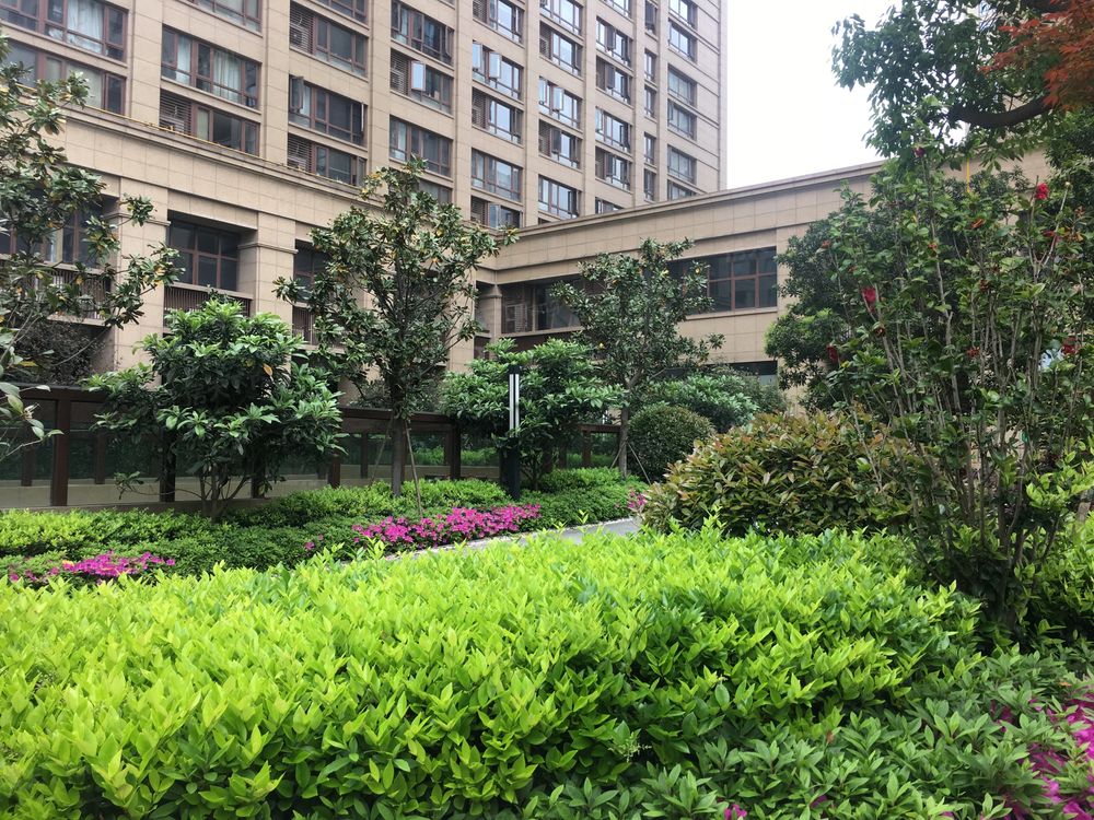 小区相关图