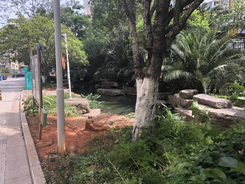 小区相关图
