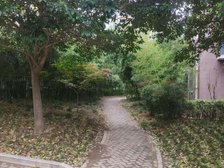 冠亚星城 精装修三室两厅户型合理 客厅向阳 诚心出售