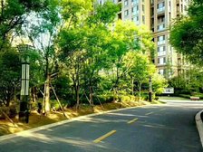 华都·金色兰庭 3室2厅 南