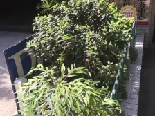 大溪沟 鑫泰大厦四房175万