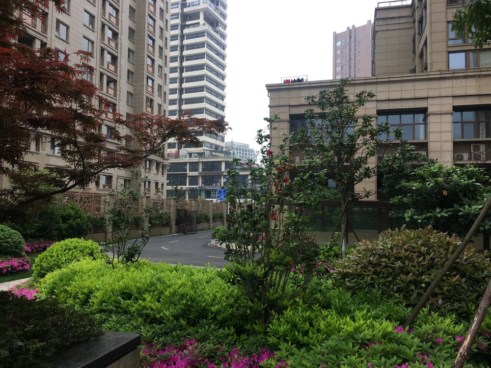 小区相关图