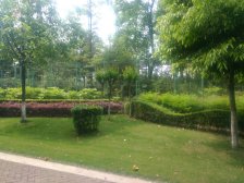 宏信南樾 3室2厅 西南