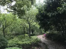 临河景观,08年次新,电梯高区,户型通透格局好