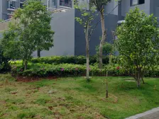 2房1厅1卫精装修 小区物业环境好