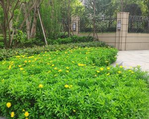 大源北一街25号3室1厅东