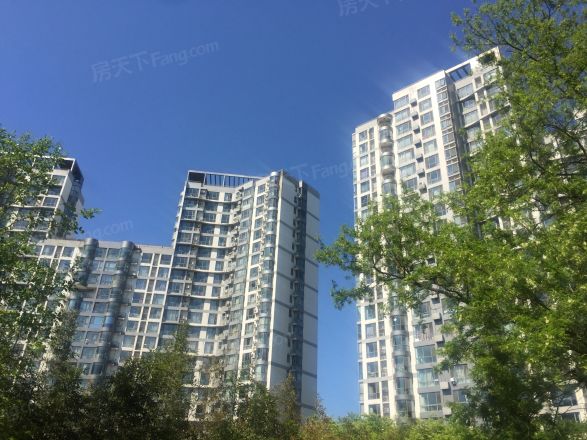 太阳星城水星园实景图