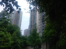 宏信南樾 3室2厅 东南