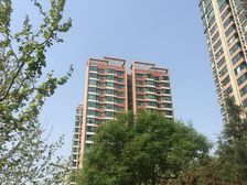 满五年唯一,大客厅正规一居室,地采暖,看花园,四惠