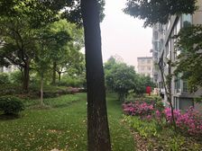 诚意出售,价格好谈,小区入口附近,南北通透