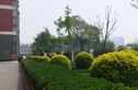 菜户营甲1号院实景图