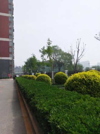 菜户营甲1号院实景图