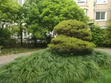 1号线外环路地铁口电梯高区两房 采光通风良好