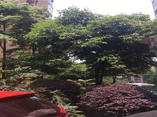 阳光欣园 3室1厅 西 东