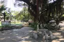 北海花园实景图