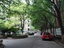 大复式,视野好,空间大,布局灵活