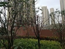 首付15万给年轻的你一个温暖的小窝